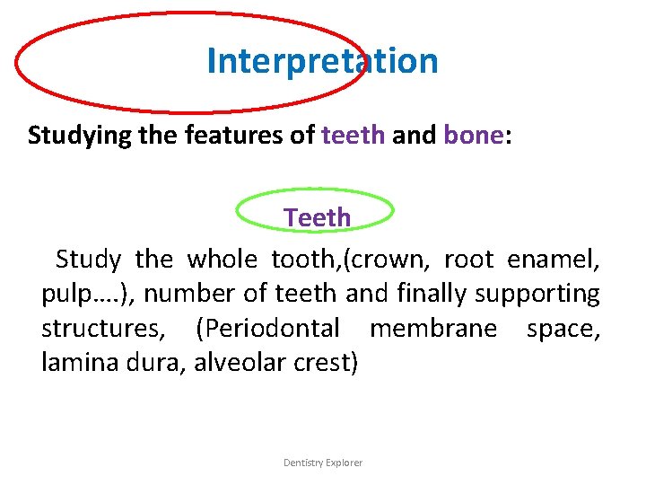 Interpretation Studying the features of teeth and bone: Teeth Study the whole tooth, (crown,