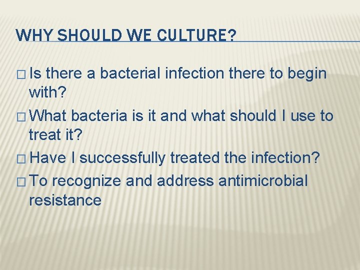 WHY SHOULD WE CULTURE? � Is there a bacterial infection there to begin with?