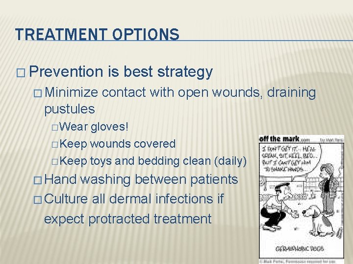TREATMENT OPTIONS � Prevention � Minimize is best strategy contact with open wounds, draining