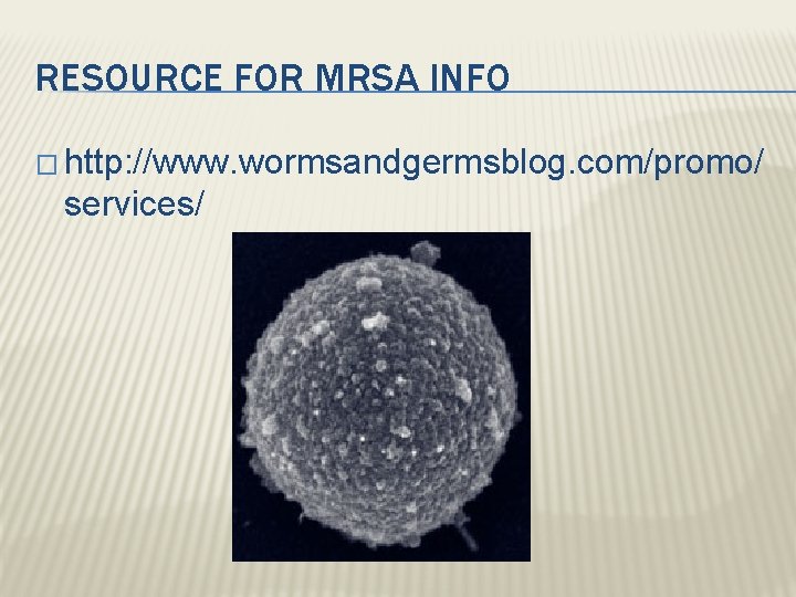 RESOURCE FOR MRSA INFO � http: //www. wormsandgermsblog. com/promo/ services/ 