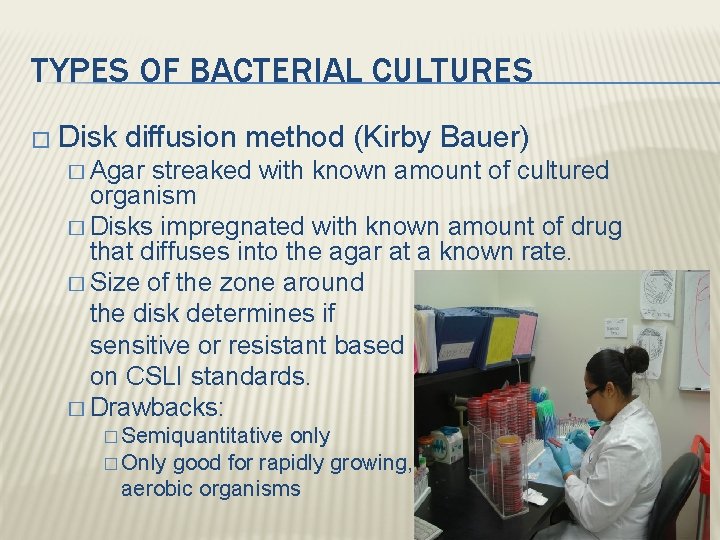 TYPES OF BACTERIAL CULTURES � Disk diffusion method (Kirby Bauer) � Agar streaked with