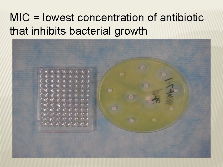 MIC = lowest concentration of antibiotic that inhibits bacterial growth 