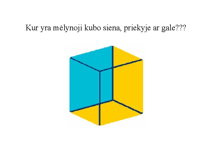 Kur yra mėlynoji kubo siena, priekyje ar gale? ? ? 