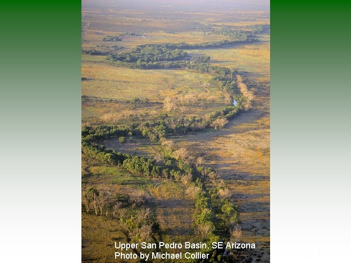 Upper San Pedro Basin, SE Arizona Photo by Michael Collier Upper San Pedro Basin, SE Arizona Photo by Michael Collier
