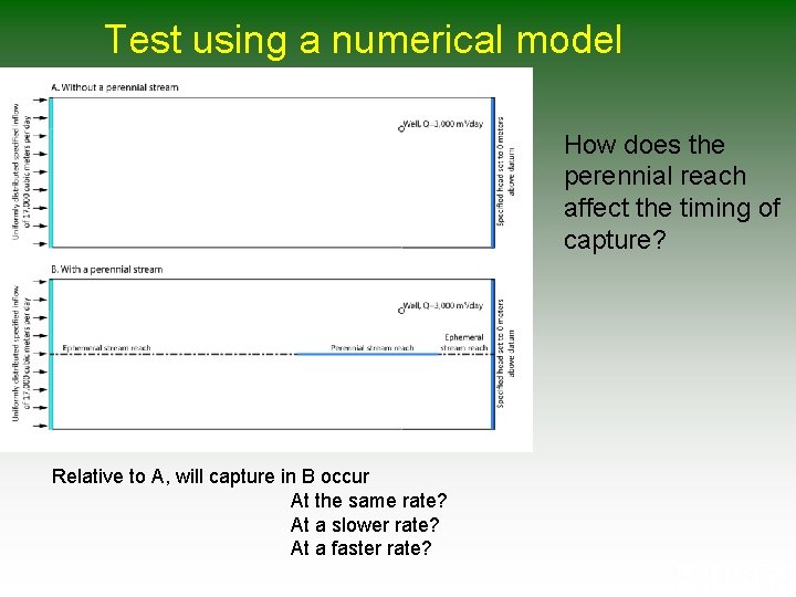 Test using a numerical model How does the perennial reach affect the timing of Test using a numerical model How does the perennial reach affect the timing of