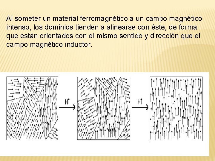 Al someter un material ferromagnético a un campo magnético intenso, los dominios tienden a