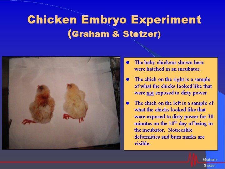 Chicken Embryo Experiment (Graham & Stetzer) The baby chickens shown here were hatched in