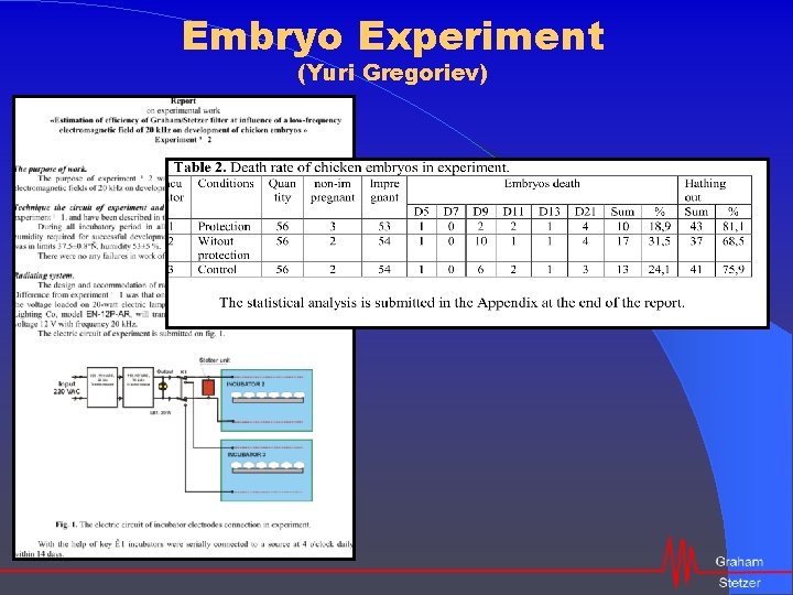 Embryo Experiment (Yuri Gregoriev) 
