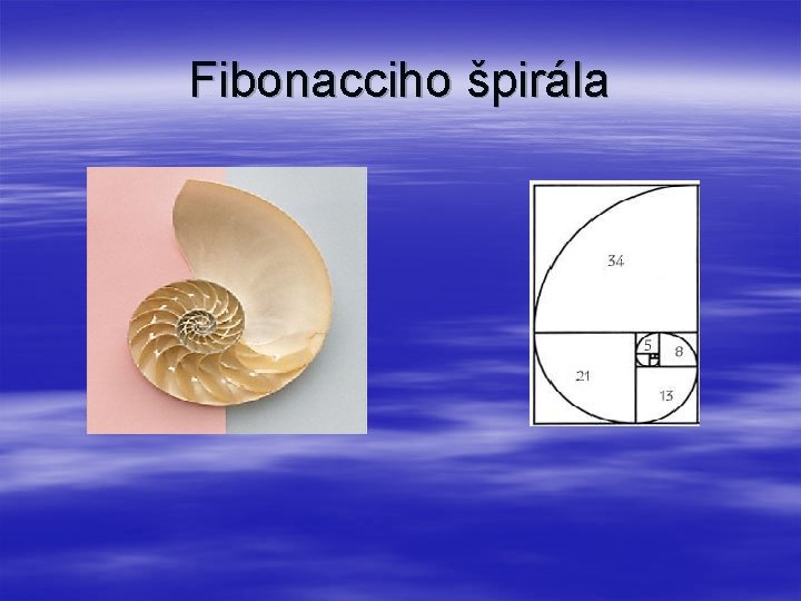 Fibonacciho špirála 