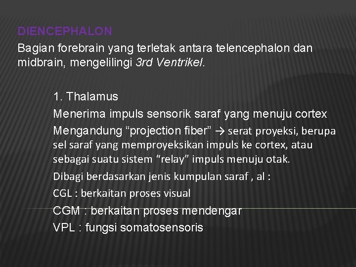 DIENCEPHALON Bagian forebrain yang terletak antara telencephalon dan midbrain, mengelilingi 3 rd Ventrikel. 1.