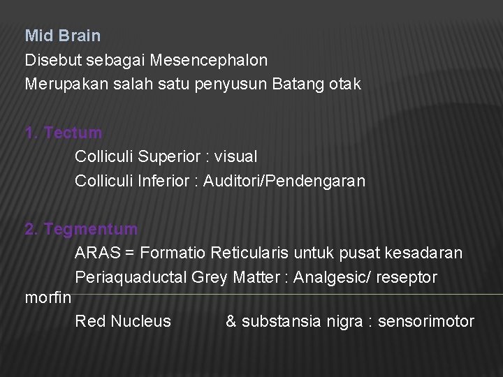 Mid Brain Disebut sebagai Mesencephalon Merupakan salah satu penyusun Batang otak 1. Tectum Colliculi