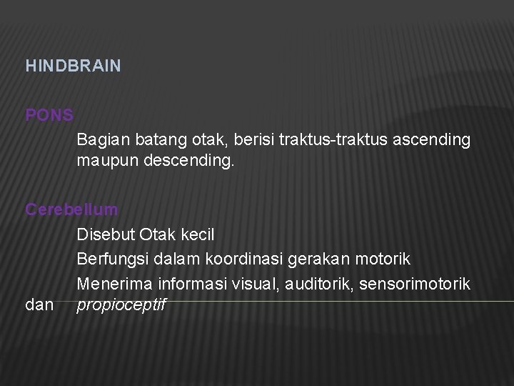 HINDBRAIN PONS Bagian batang otak, berisi traktus-traktus ascending maupun descending. Cerebellum Disebut Otak kecil