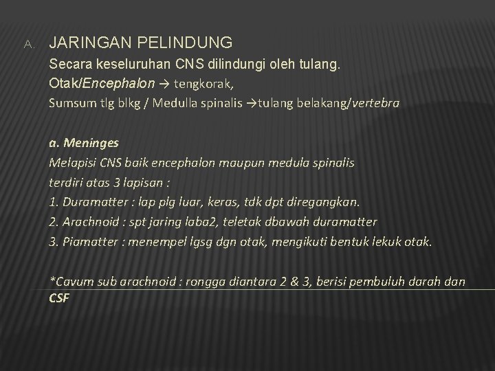 A. JARINGAN PELINDUNG Secara keseluruhan CNS dilindungi oleh tulang. Otak/Encephalon → tengkorak, Sumsum tlg