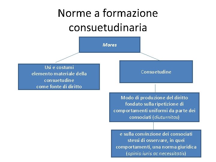 Norme a formazione consuetudinaria Mores Usi e costumi elemento materiale della consuetudine come fonte