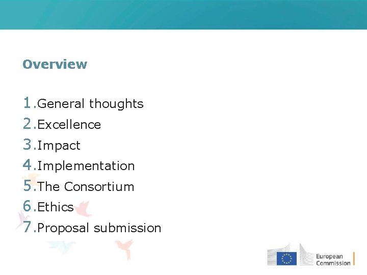 Overview 1. General thoughts 2. Excellence 3. Impact 4. Implementation 5. The Consortium 6.