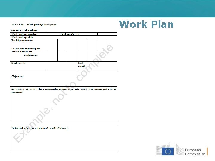 Work Plan 