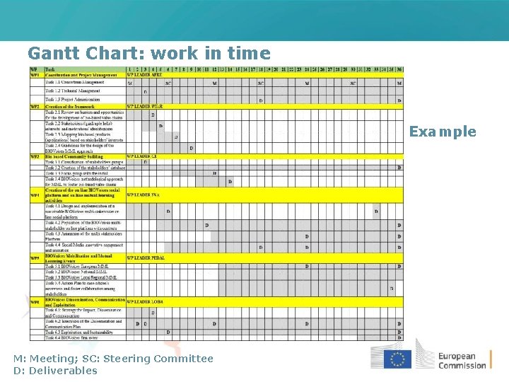 Gantt Chart: work in time Example M: Meeting; SC: Steering Committee D: Deliverables 