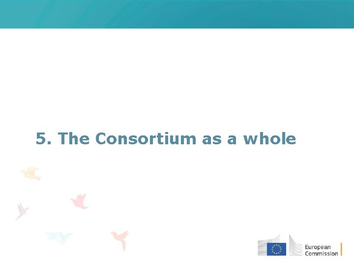 5. The Consortium as a whole 