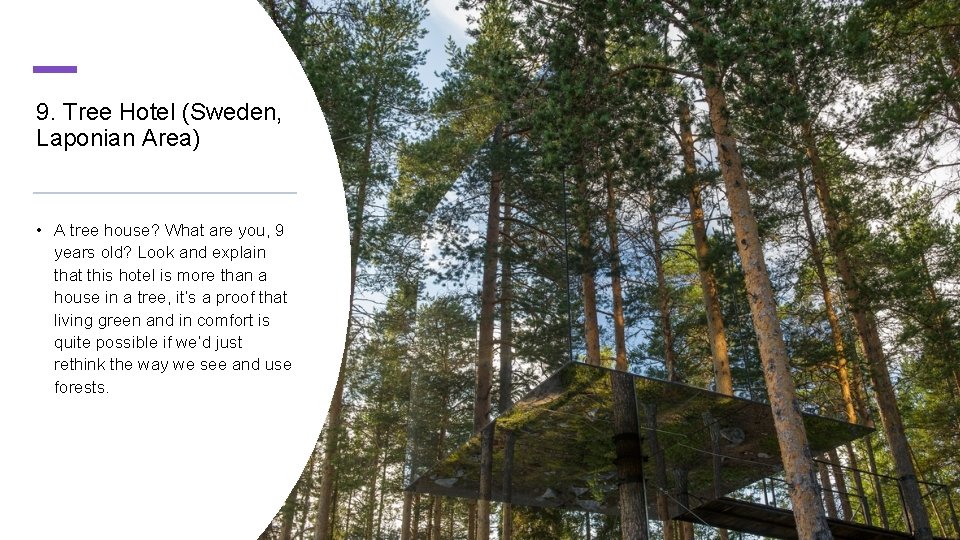 9. Tree Hotel (Sweden, Laponian Area) • A tree house? What are you, 9