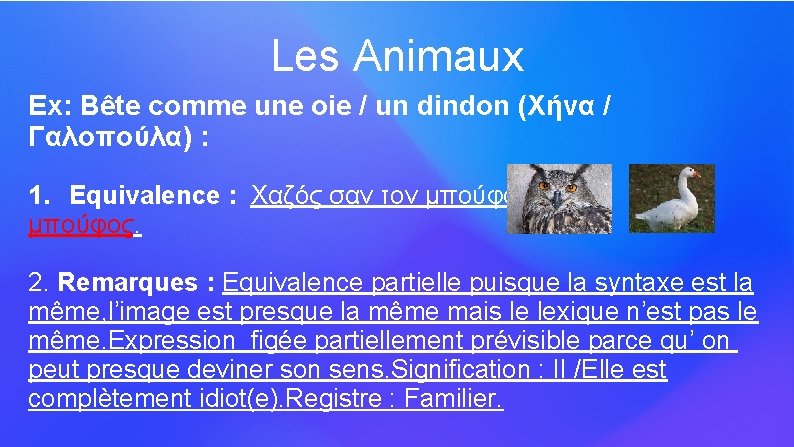 Les Animaux Ex: Bête comme une oie / un dindon (Χήνα / Γαλοπούλα) :