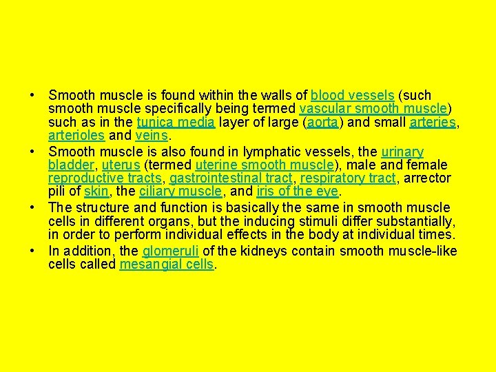  • Smooth muscle is found within the walls of blood vessels (such smooth