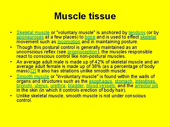 Muscle tissue • Skeletal muscle or "voluntary muscle" is anchored by tendons (or by
