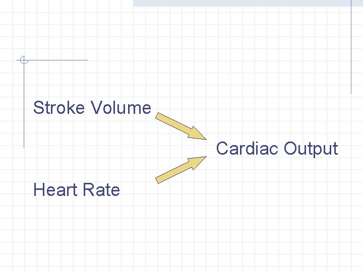 Stroke Volume Cardiac Output Heart Rate 
