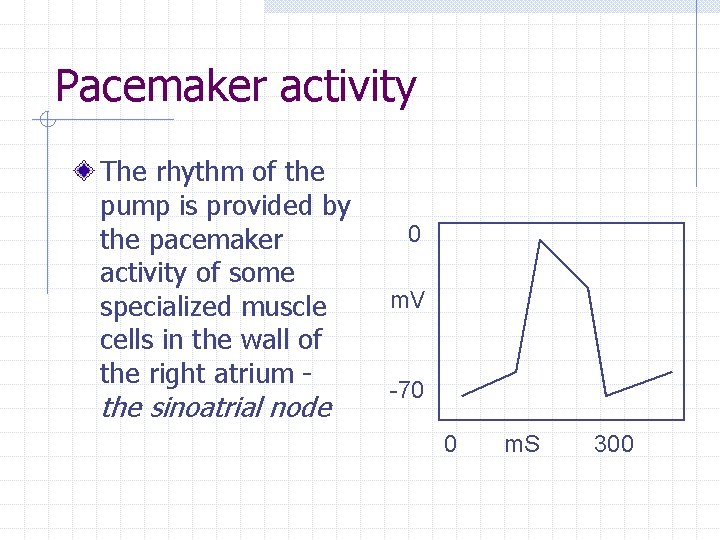Pacemaker activity The rhythm of the pump is provided by the pacemaker activity of