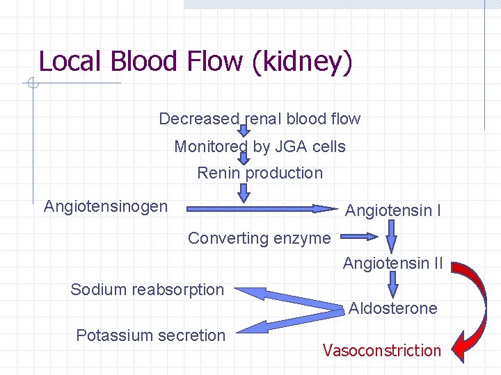Local Blood Flow (kidney) Decreased renal blood flow Monitored by JGA cells Renin production