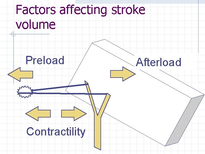 Factors affecting stroke volume Preload Contractility Afterload 