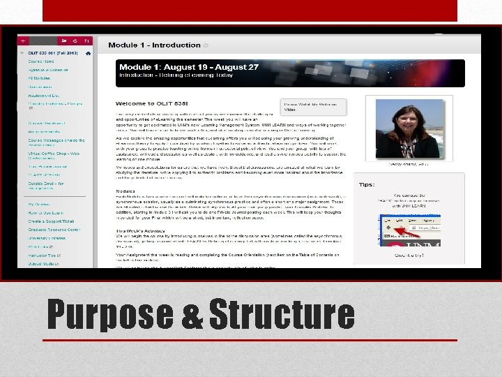  • Description of course (1 min) Purpose & Structure 