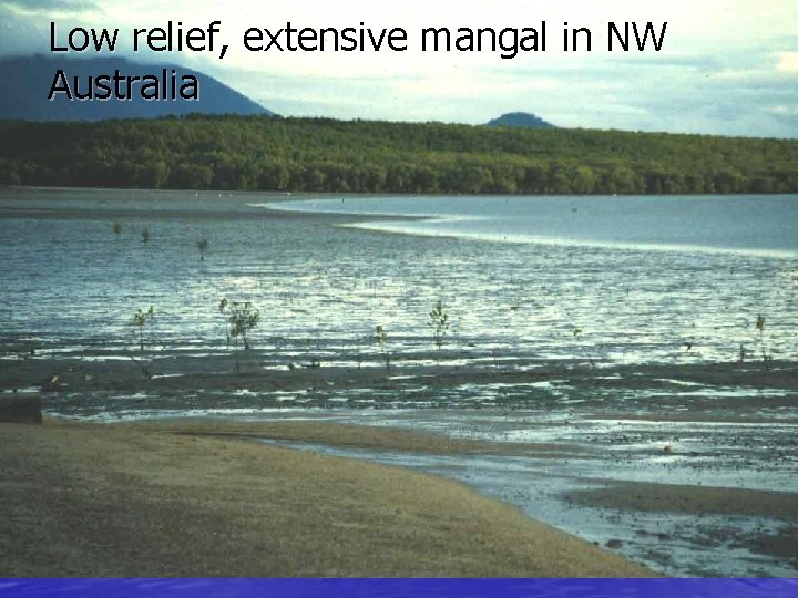 Low relief, extensive mangal in NW Australia 