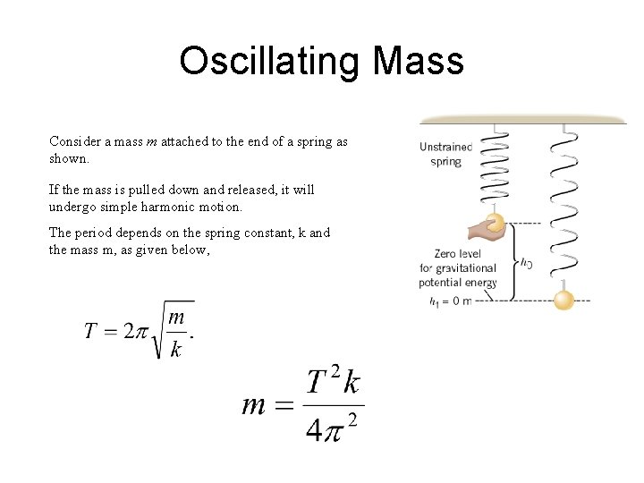 Oscillating Mass Consider a mass m attached to the end of a spring as