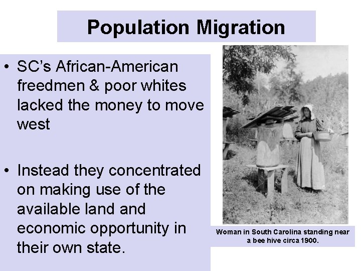 Population Migration • SC’s African-American freedmen & poor whites lacked the money to move