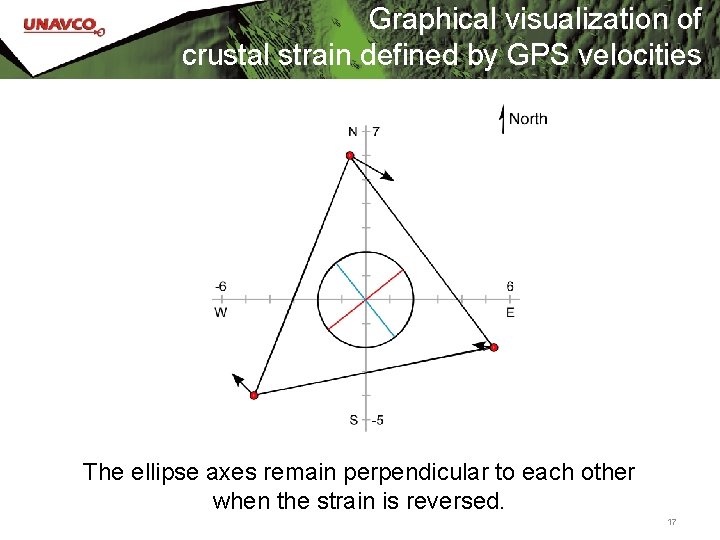 Graphical visualization of crustal strain defined by GPS velocities The ellipse axes remain perpendicular