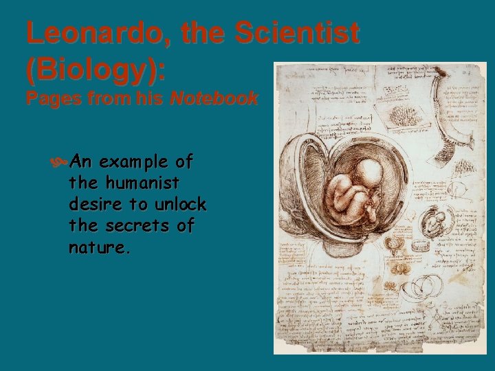 Leonardo, the Scientist (Biology): Pages from his Notebook An example of the humanist desire Leonardo, the Scientist (Biology): Pages from his Notebook An example of the humanist desire