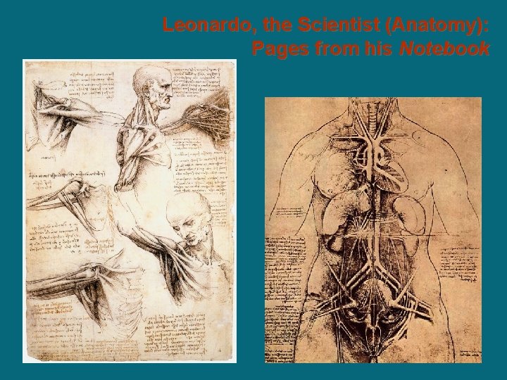 Leonardo, the Scientist (Anatomy): Pages from his Notebook Leonardo, the Scientist (Anatomy): Pages from his Notebook