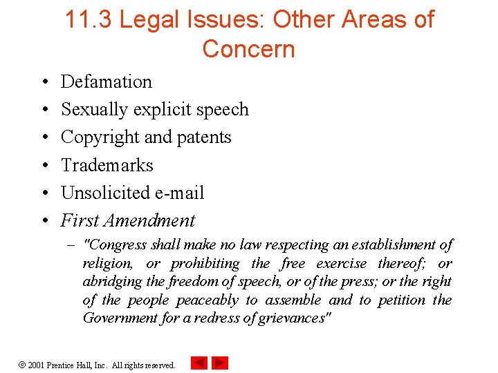 11. 3 Legal Issues: Other Areas of Concern • • • Defamation Sexually explicit