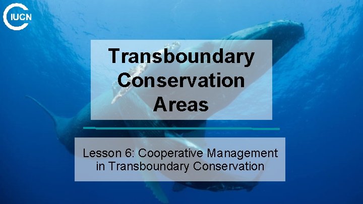 Transboundary Conservation Areas Lesson 6: Cooperative Management in Transboundary Conservation 