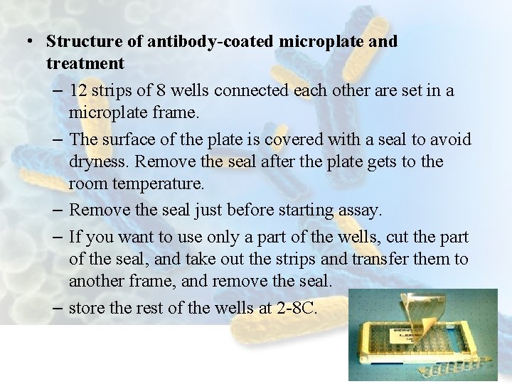  • Structure of antibody-coated microplate and treatment – 12 strips of 8 wells