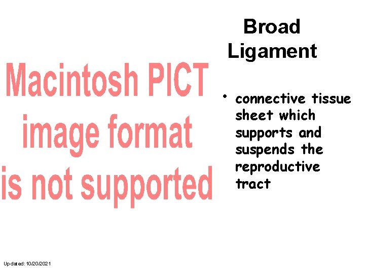 Broad Ligament • Updated: 10/20/2021 connective tissue sheet which supports and suspends the reproductive