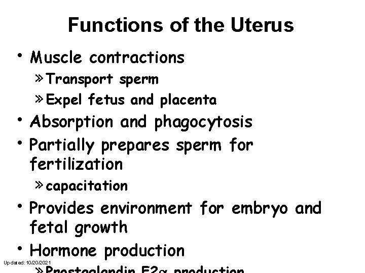 Functions of the Uterus • Muscle contractions » Transport sperm » Expel fetus and