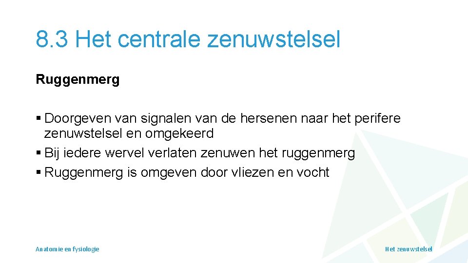 8. 3 Het centrale zenuwstelsel Ruggenmerg § Doorgeven van signalen van de hersenen naar