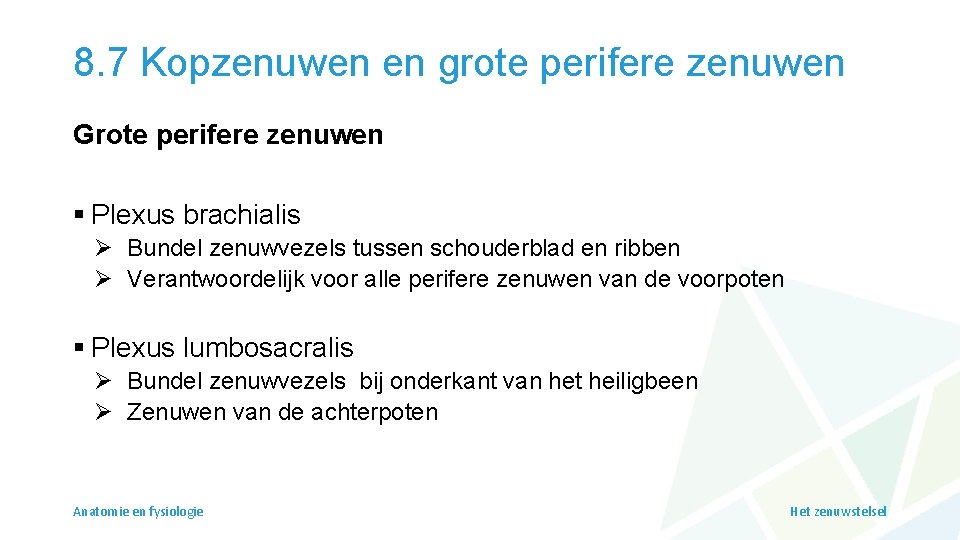 8. 7 Kopzenuwen en grote perifere zenuwen Grote perifere zenuwen § Plexus brachialis Ø