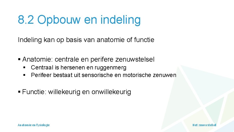 8. 2 Opbouw en indeling Indeling kan op basis van anatomie of functie §