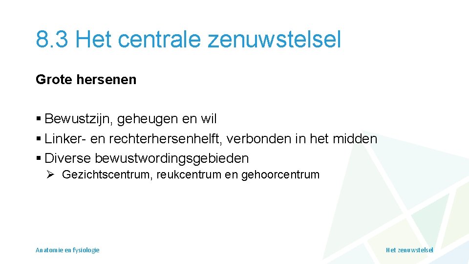 8. 3 Het centrale zenuwstelsel Grote hersenen § Bewustzijn, geheugen en wil § Linker-