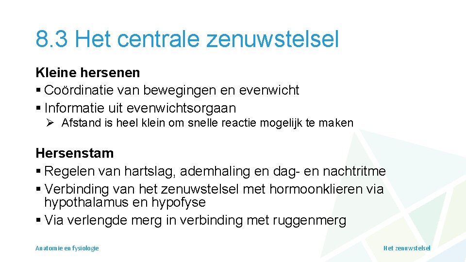8. 3 Het centrale zenuwstelsel Kleine hersenen § Coördinatie van bewegingen en evenwicht §