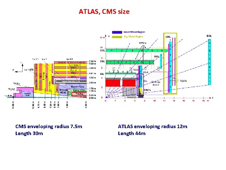 ATLAS, CMS size CMS enveloping radius 7. 5 m Length 30 m ATLAS enveloping