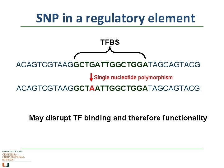 SNP in a regulatory element TFBS ACAGTCGTAAGGCTGATTGGCTGGATAGCAGTACG Single nucleotide polymorphism ACAGTCGTAAGGCTAATTGGCTGGATAGCAGTACG May disrupt TF SNP in a regulatory element TFBS ACAGTCGTAAGGCTGATTGGCTGGATAGCAGTACG Single nucleotide polymorphism ACAGTCGTAAGGCTAATTGGCTGGATAGCAGTACG May disrupt TF