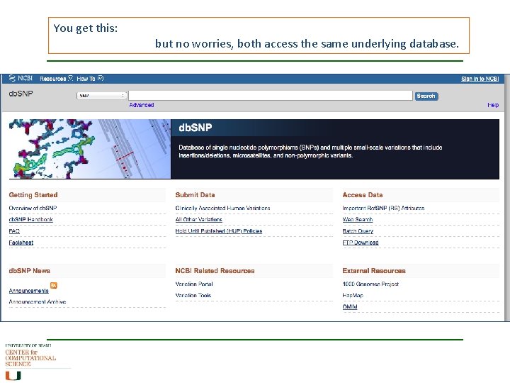 You get this: but no worries, both access the same underlying database. You get this: but no worries, both access the same underlying database.
